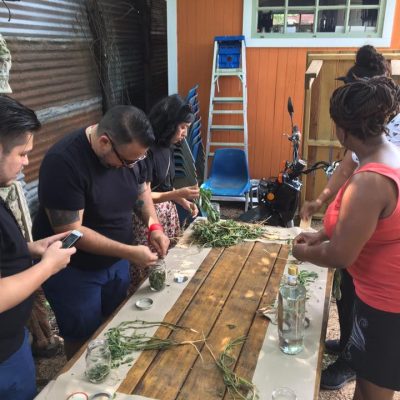 People standing at a table outdoors making Tinctures