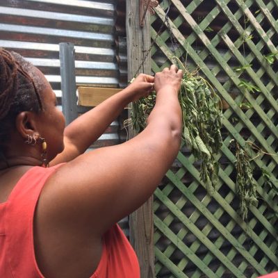 Tonya drying herbs