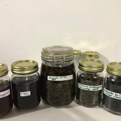 Tinctures Curing